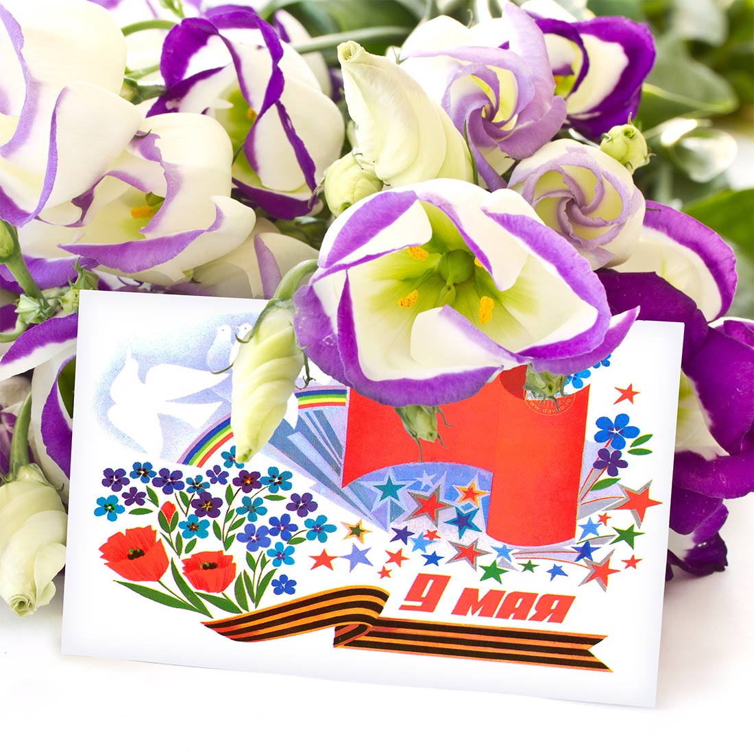 Красивое поздравление на 9 мая - открытка с цветами