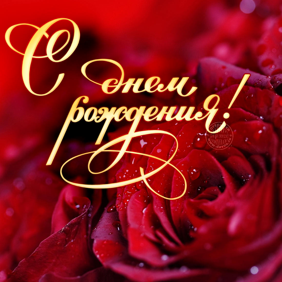 Поздравления С Днем Рождения Розы