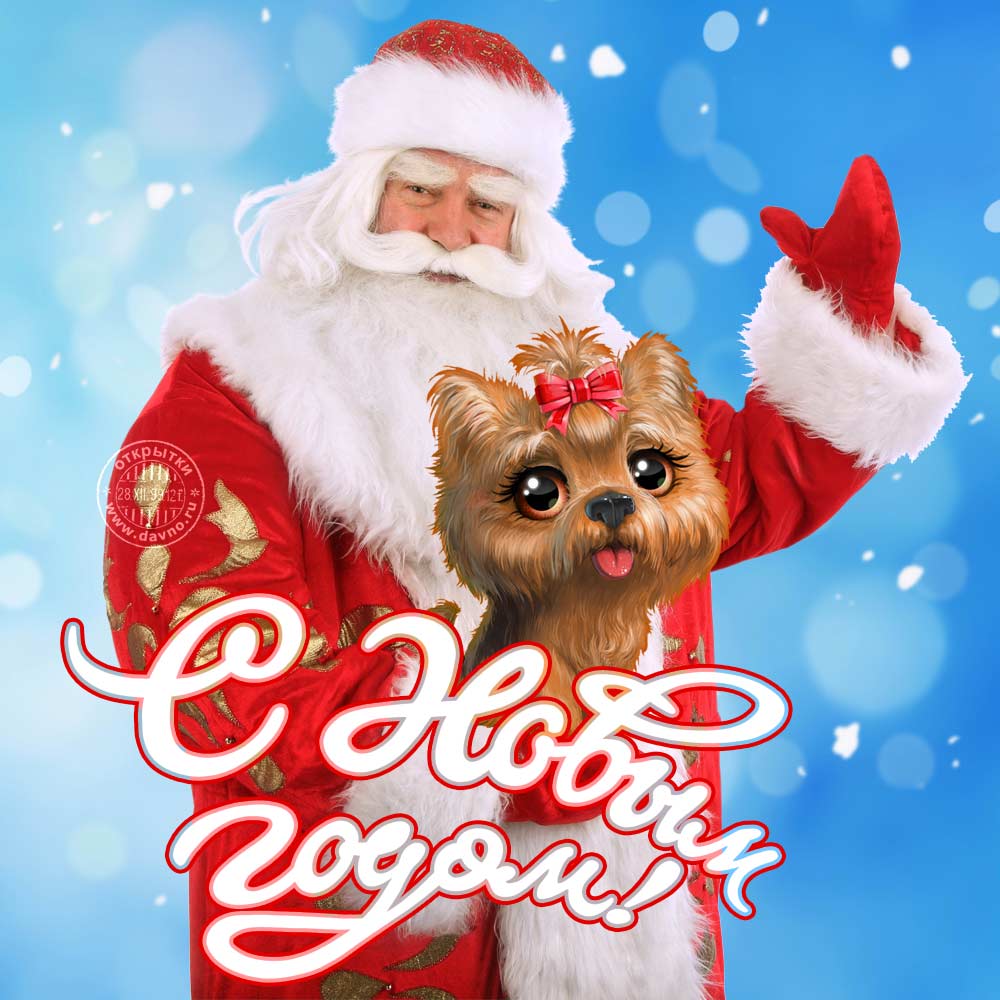 Красивая новогодняя открытка с дедом Морозом с собачкой на руках