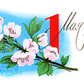 Весеннее поздравление с праздником 1 мая!