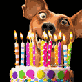 Прикольная гифка на день рождения с тортом и смешной собакой
