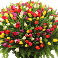 Что подарить на 8 марта - букет цветов