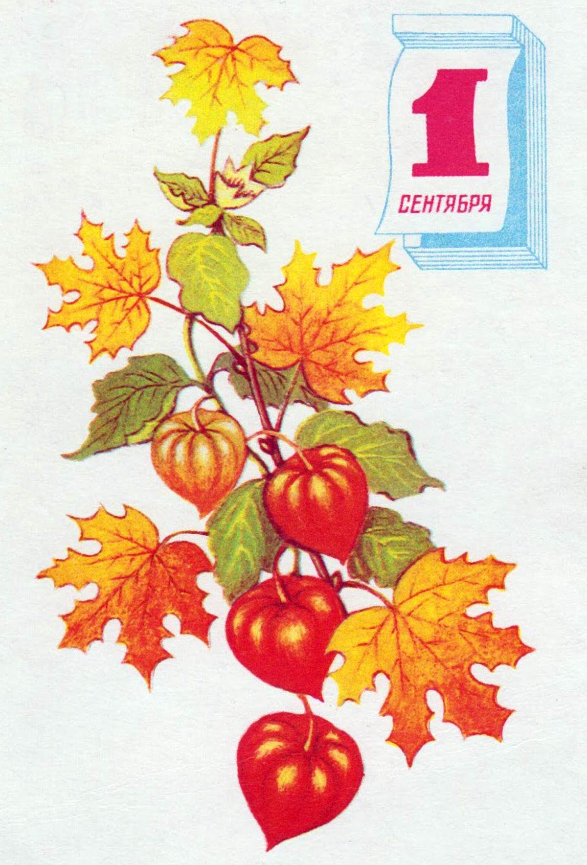 Поздравление с осенними листьями и отрывным календарём