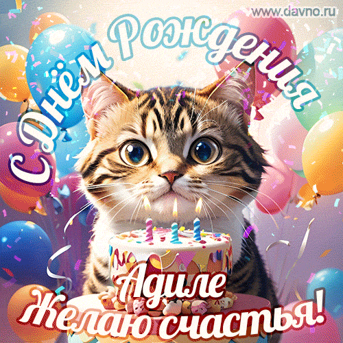 Новая анимированная гифка на день рождения Адиле с котиком, тортом и красочными воздушными шарами
