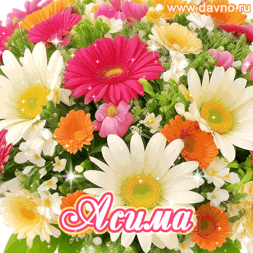 Асима, от всей души поздравляю с днем рождения! Счастья и здоровья тебе и твоим близким.