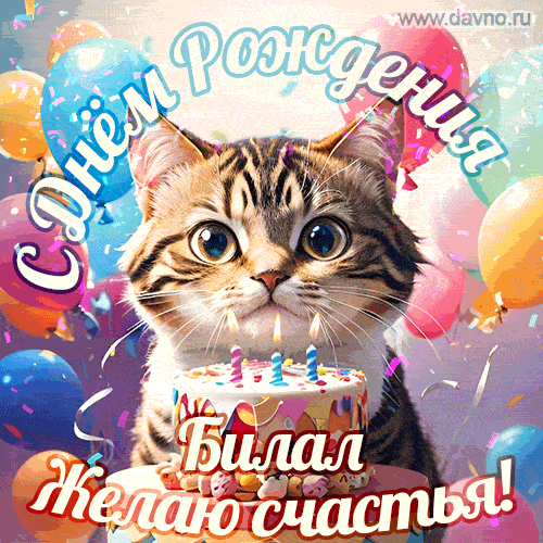 Новая анимированная гифка на день рождения Билалу с котом, тортом и воздушными шарами