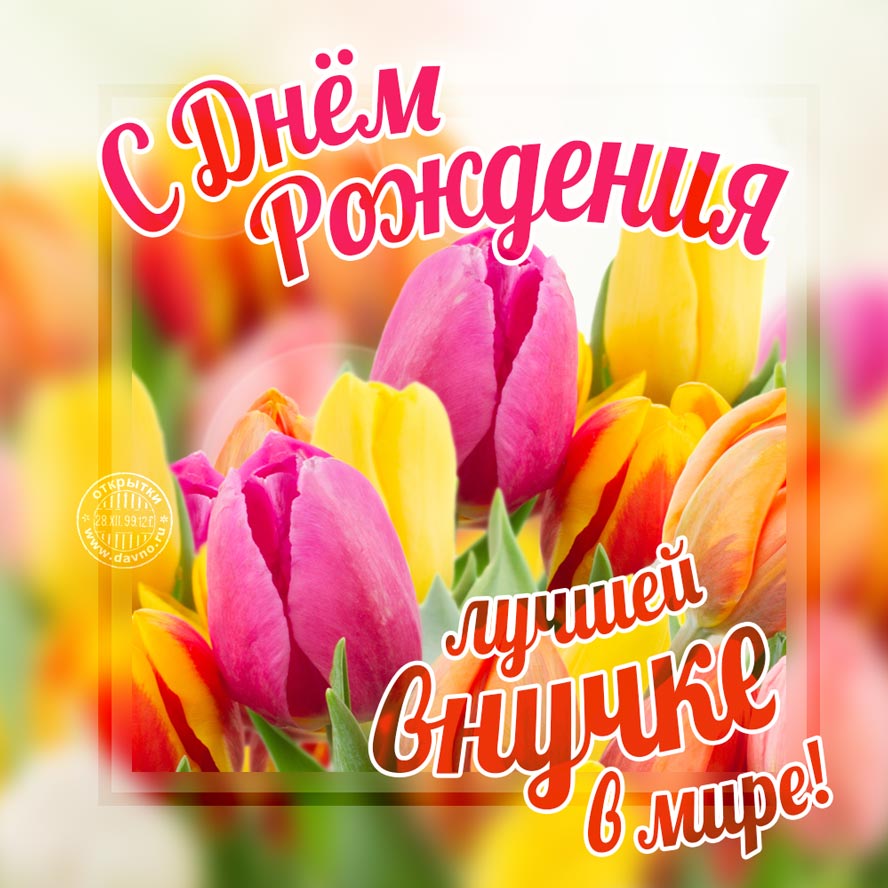 Красивая открытка на день рождения внучки — Скачайте на Davno.ru
