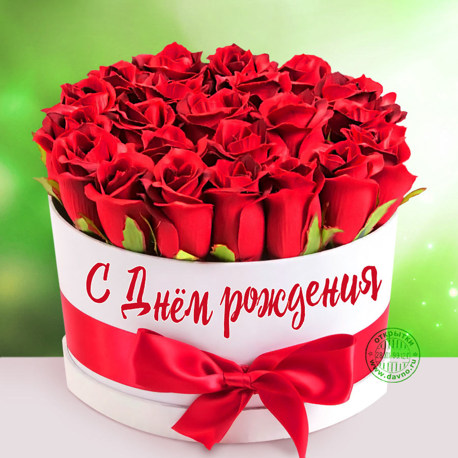 Открытки с красными цветами на день рождения