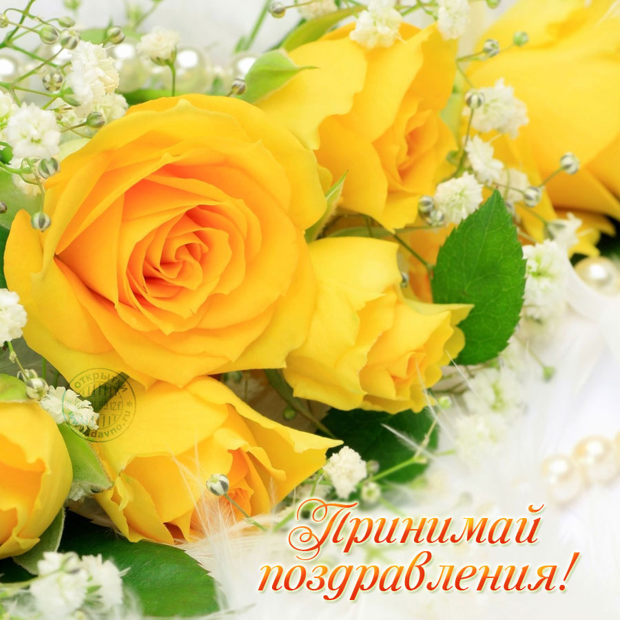 Принимай поздравления! Желтые розы.