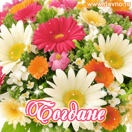 Анимационная открытка для Богданы с красочными летними цветами и блёстками