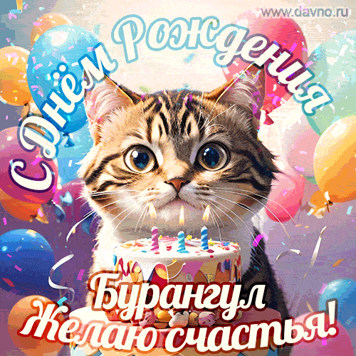 Новая анимированная гифка на день рождения Бурангулу с котом, тортом и воздушными шарами