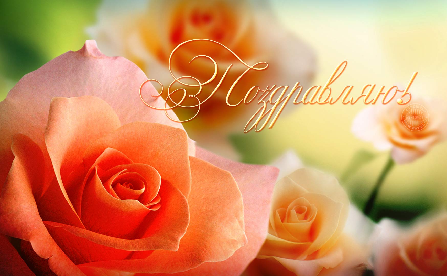 Поздравляем! Поздравительная открытка с розовыми розами.