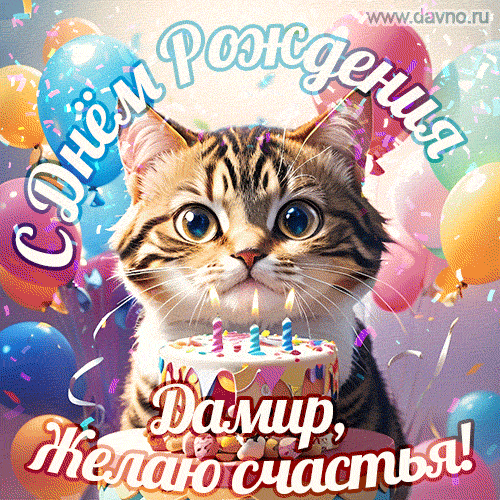 Новая анимированная гифка на день рождения Дамиру с котом, тортом и воздушными шарами