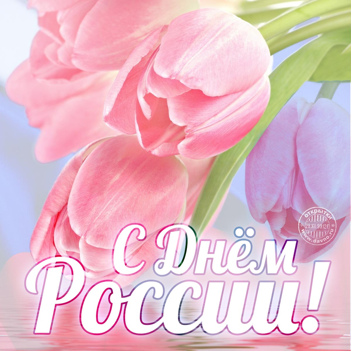 Скачайте красивую открытку на День России с тюльпанами