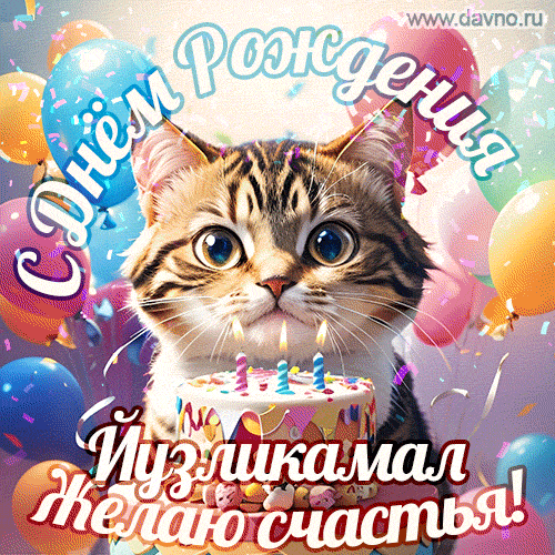 Новая анимированная гифка на день рождения Йузликамал с котиком, тортом и красочными воздушными шарами