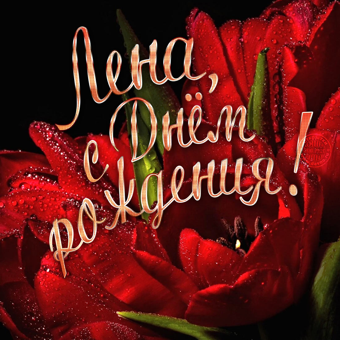 Открытка для Елены с красными тюльпанами