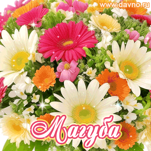 Магуба, от всей души поздравляю с днем рождения! Счастья и здоровья тебе и твоим близким.