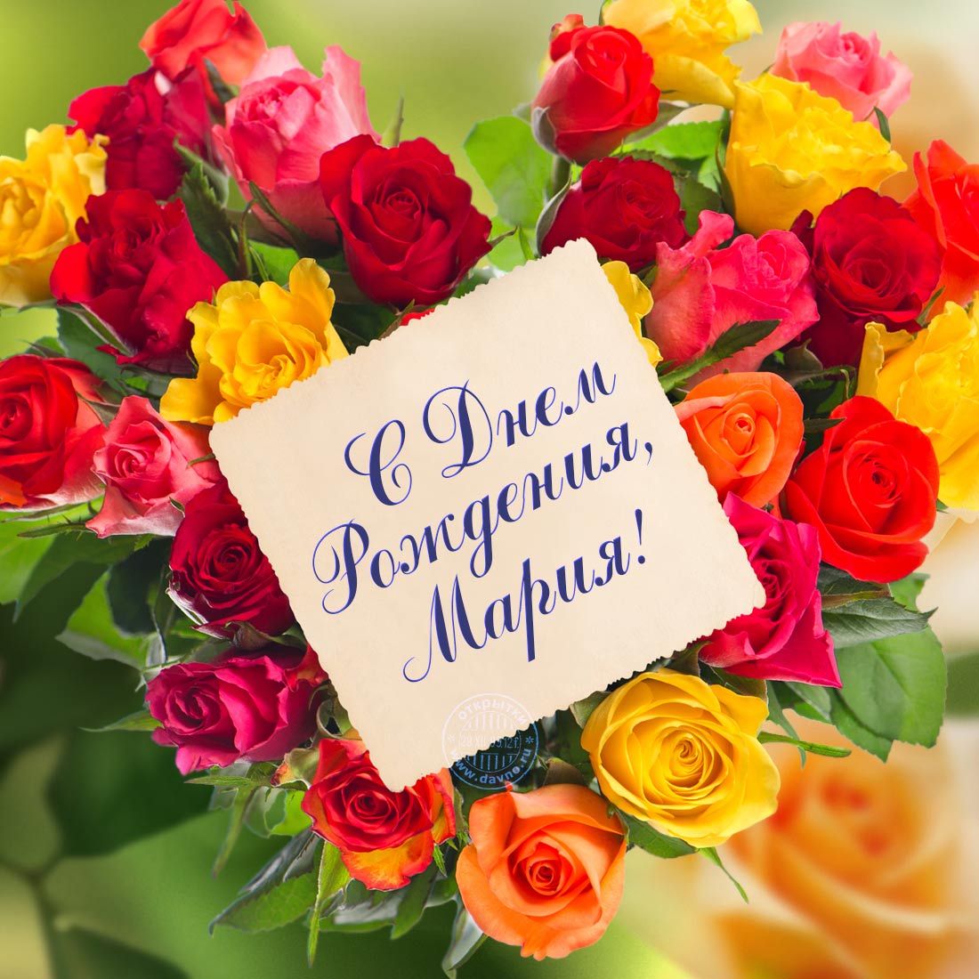 Открытка на день рождения для Марии с розами — Скачайте на Davno.ru