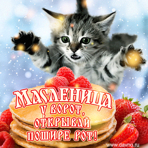 Прикольная анимационная открытка на Масленицу с котом и блинами