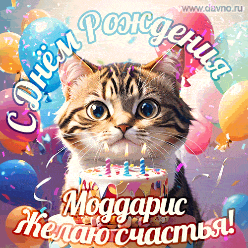 Новая анимированная гифка на день рождения Моддарису с котом, тортом и воздушными шарами