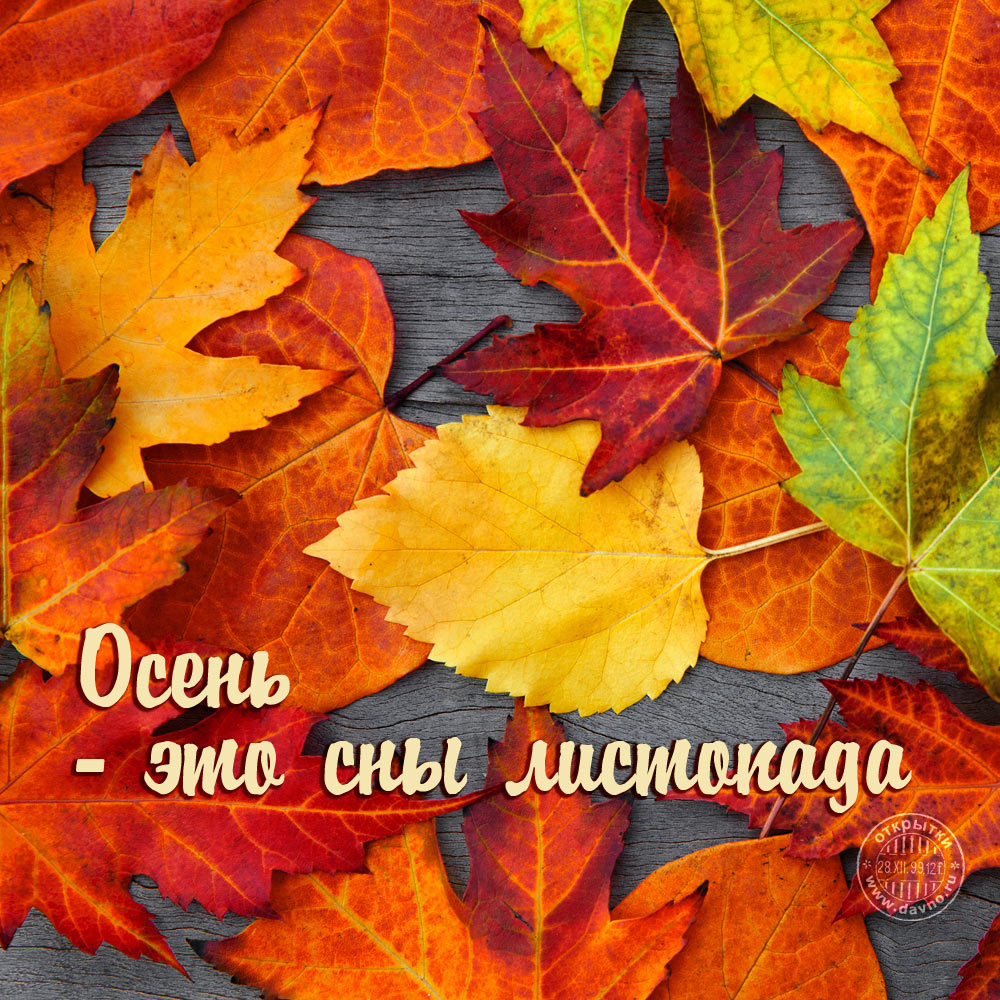 Осень - это сны листопада