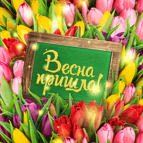 Анимационная (GIF)  открытка с тюльпанами и подписью: весна пришла