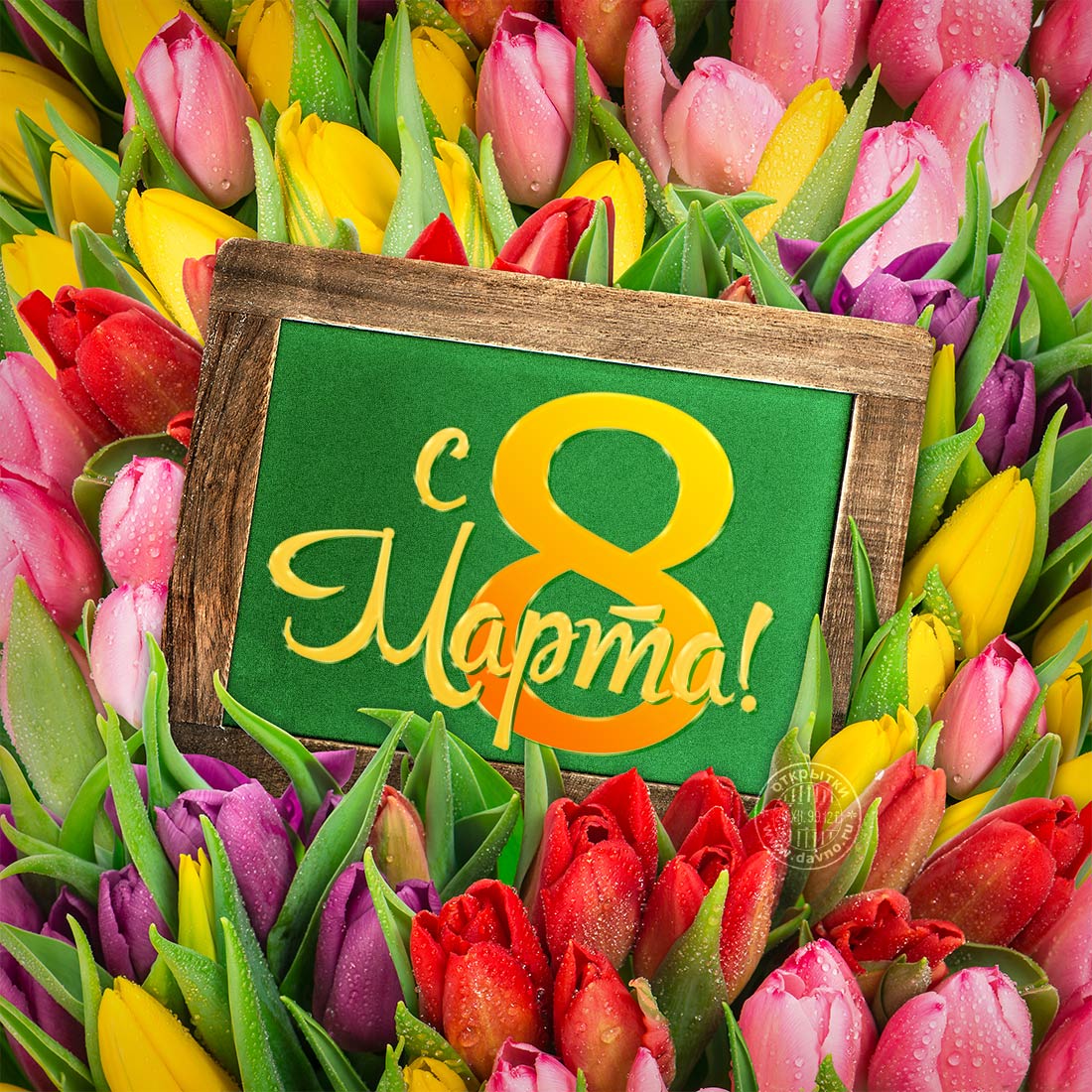 Красивая Открыта-фото на 8 марта с цветами