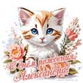 Новая рисованная поздравительная открытка для Александры с котёнком