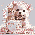 Загадай желание и задуй свечи! Анимационная открытка с котёнком, щенком и тортом.
