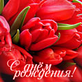 Красные тюльпаны - с днём рождения!