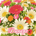 Анимационная открытка для Динары с красочными летними цветами и блёстками