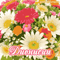 Анимационная открытка для Дионисии с красочными летними цветами и блёстками