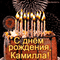 Красивая открытка GIF с Днем рождения Камилла с праздничным тортом