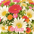 Анимационная открытка для Лолы с красочными летними цветами и блёстками