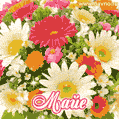 Анимационная открытка для Майи с красочными летними цветами и блёстками