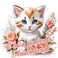 Новая рисованная поздравительная открытка для Анастасии с котёнком