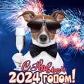 Будьте счастливы в 2024 году! Новогоднее поздравление от прикольного пса.