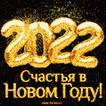 Желаю в наступающем 2022 году счастья, удачи и ярких, позитивных  впечатлений