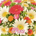 Анимационная открытка для Розы с красочными летними цветами и блёстками