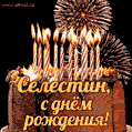 Красивая открытка GIF с Днем рождения Селестин с праздничным тортом