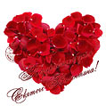 Лепестки роз в форме сердца на 14 февраля